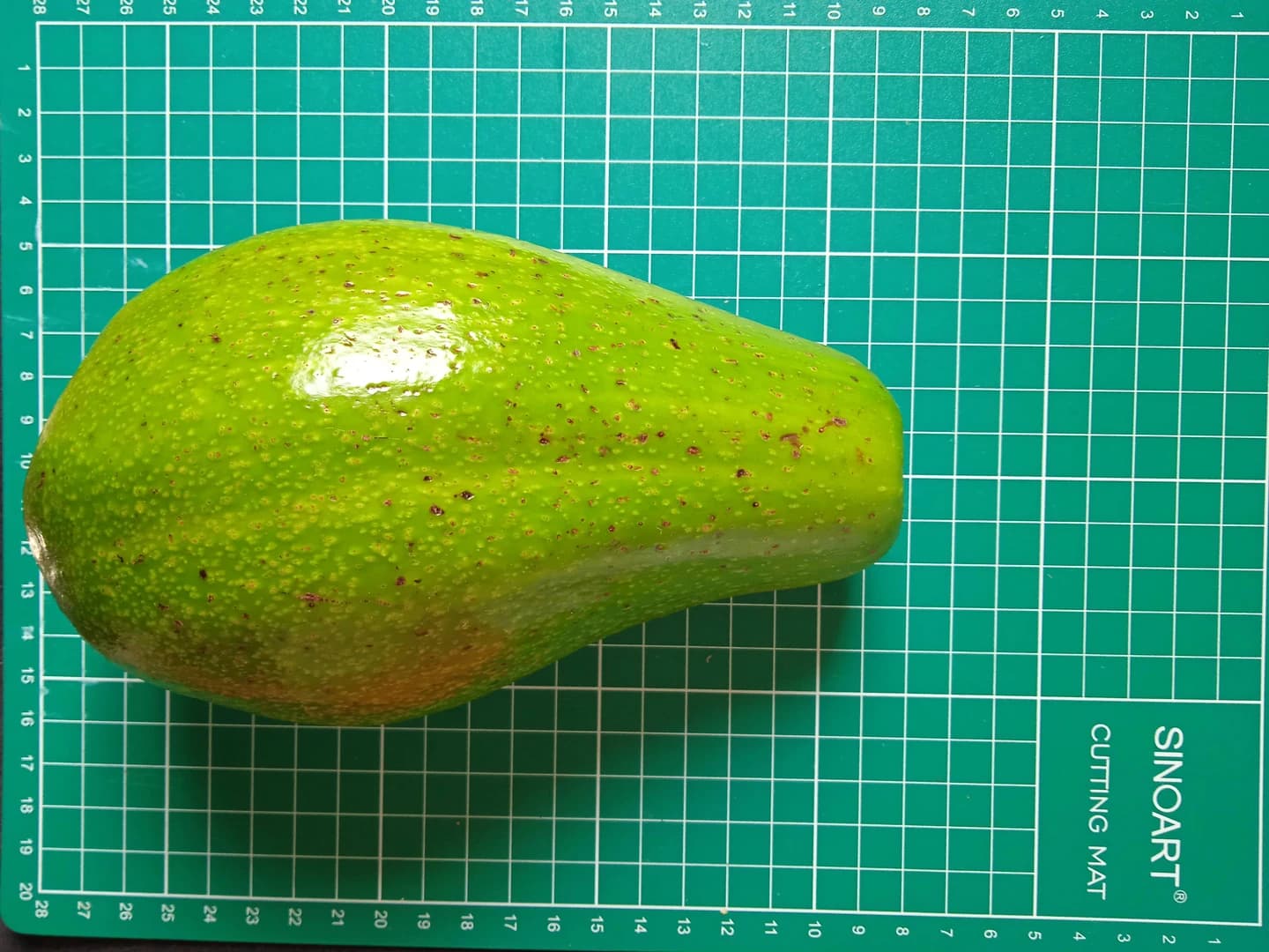 Fruto