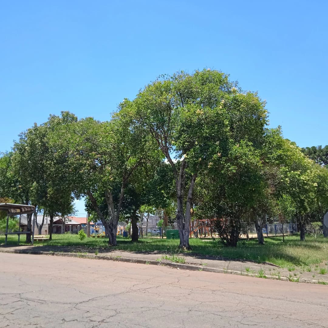 Praça Simão Nasseh