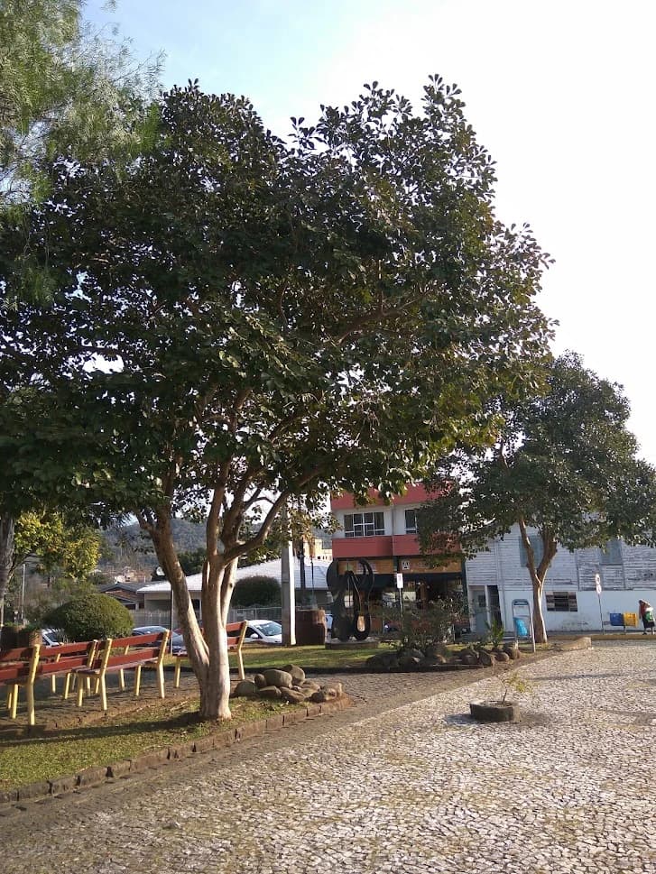 Araçazeiro